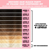 Unicorn Bleach Party variant:20 Volume Bleach Party